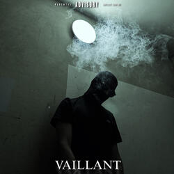 VAILLANT