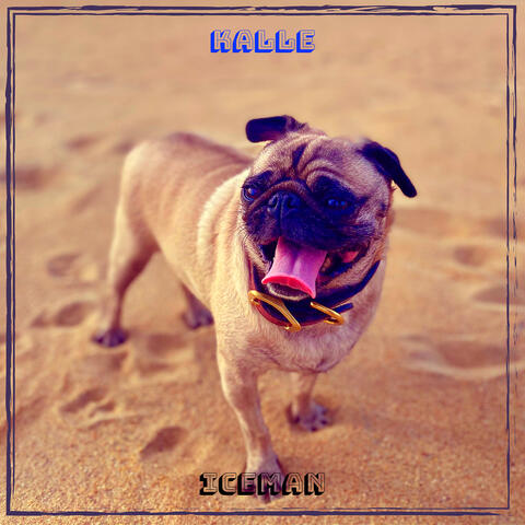 Kalle