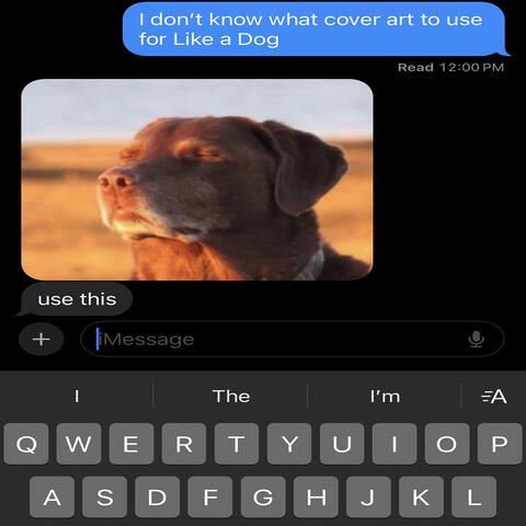 Like a Dog