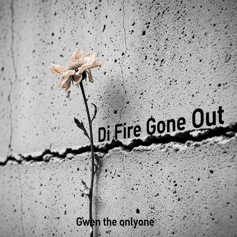 Di Fire Gone Out