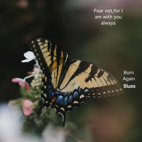 Born Again Blues