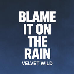 Blame It on the Rain (Remix)