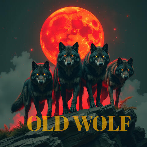 Old Wolf