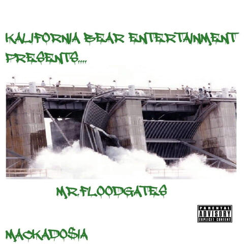 Mr. FloodGates