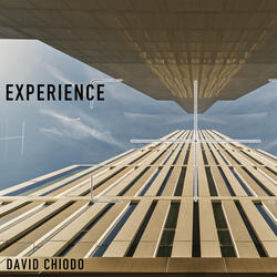 Experience