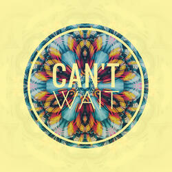 Can't Wait
