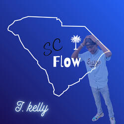 Sc Flow