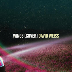 Wings (Cover)