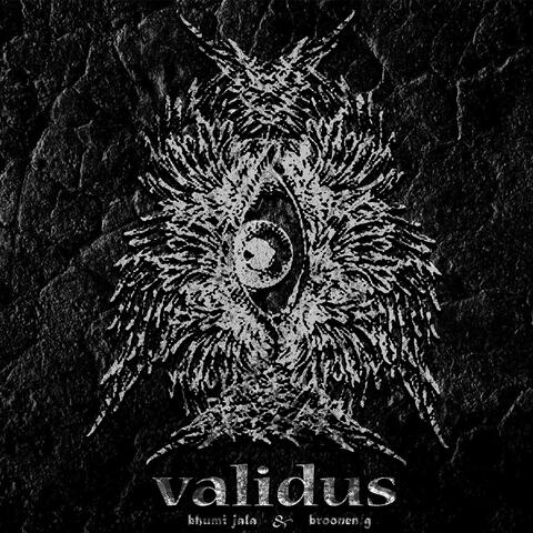 Validus