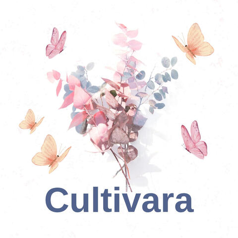 Cultivara