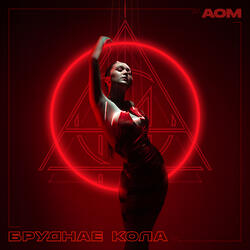 Бруднае кола