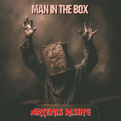 Man in the Box (Cover)
