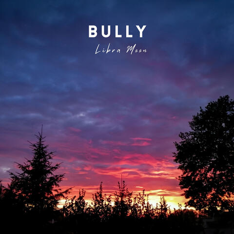 Bully