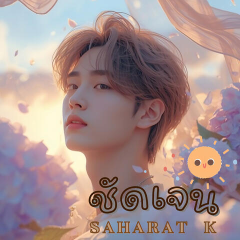 ชัดเจน