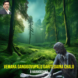 Vemana Gangigovupalu Garitedaina Chalu