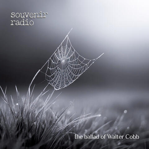 The Ballad of Walter Cobb