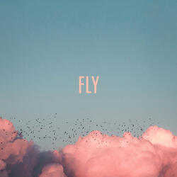 Fly