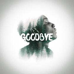 Goodbye