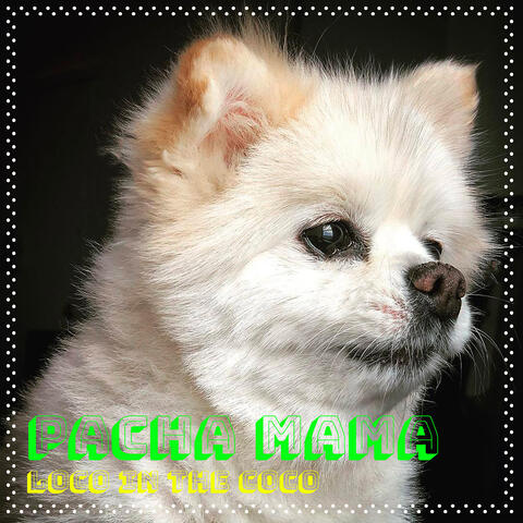 Pacha Mama