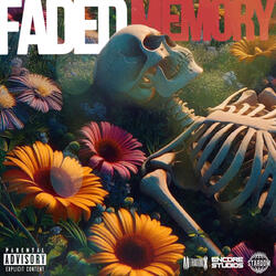 Faded Memory