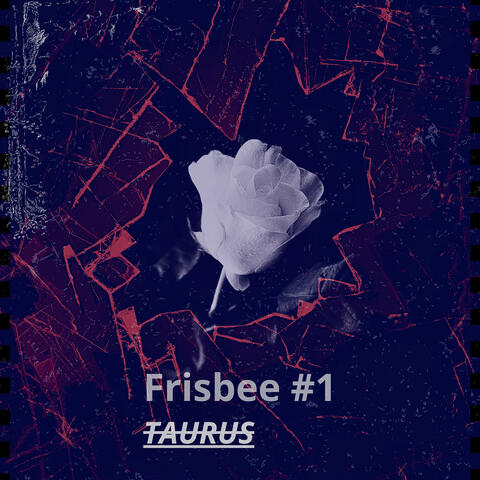 Frisbee #1