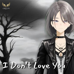 I Don't Love You ( Acoustic ) (Cover)