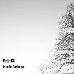 Into the Darkness