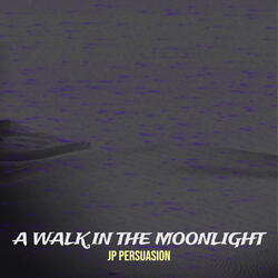 A Walk in the Moonlight