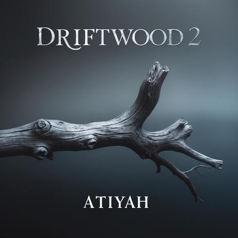 Driftwood 2