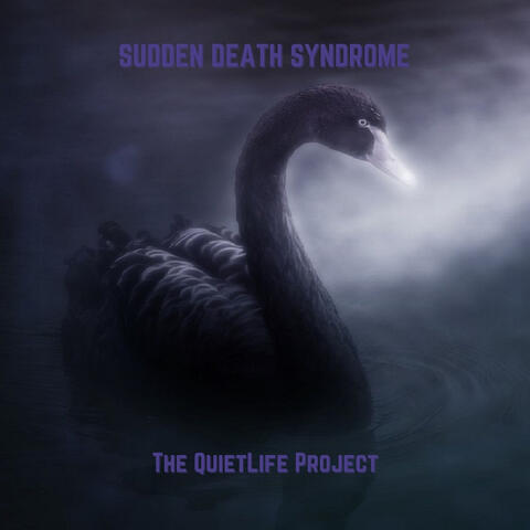Sudden Death Syndrome