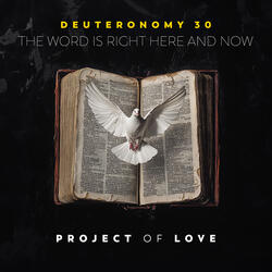 Deuteronomy 30 - The Word Is Right Here and Now