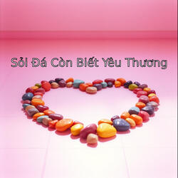 Sỏi Đá Còn Biết Yêu Thương