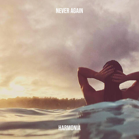 Never Again