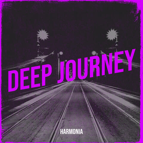 Deep Journey