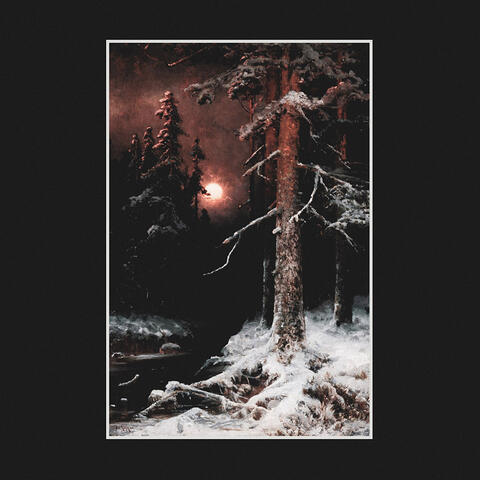 The Watchful Eye of Night