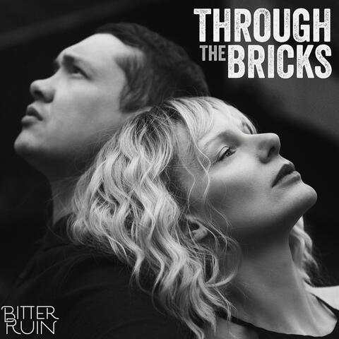 Through the Bricks
