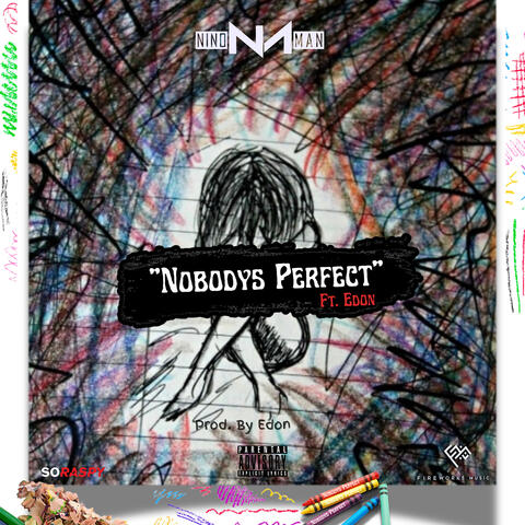 Nobodys Perfect