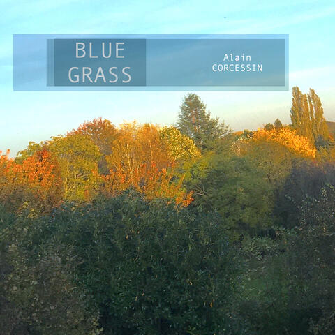 Bluegrass