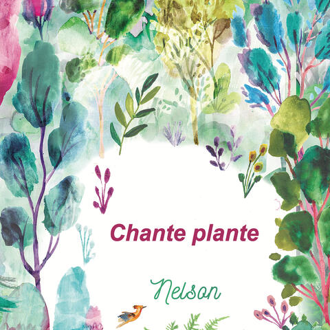 Chante plante