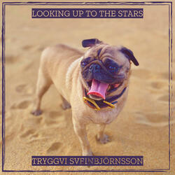 Looking up to the Stars