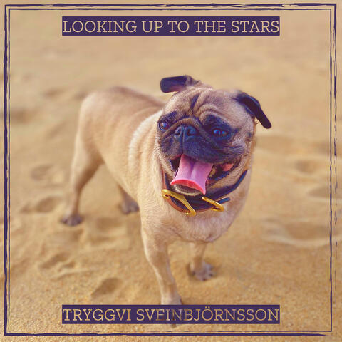 Looking up to the Stars