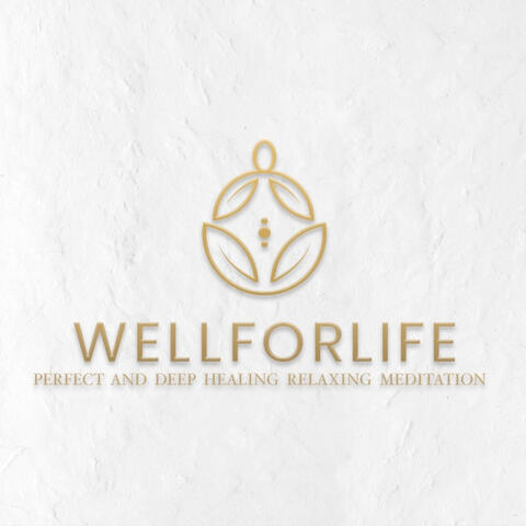Perfect and Deeep Healing Relaxing Meditation, Vol. 2