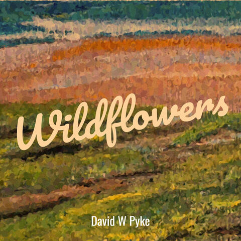 Wildflowers