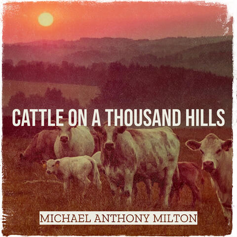Cattle on a Thousand Hills