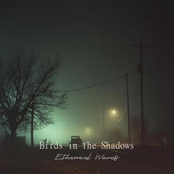 Birds in the Shadows