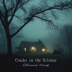 Cracks in the Silence