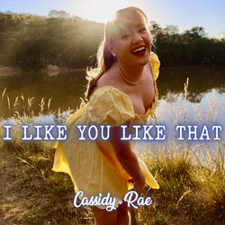 I Like You Like That