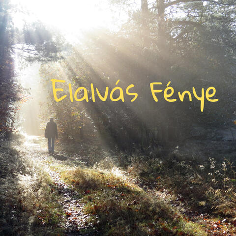 Elalvás Fénye