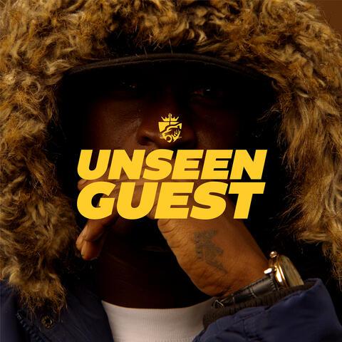 Unseen Guest