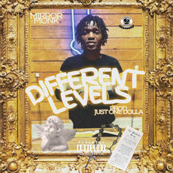 Different Levels
